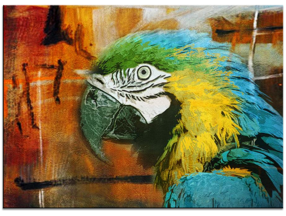 Blue Yellow Macaw