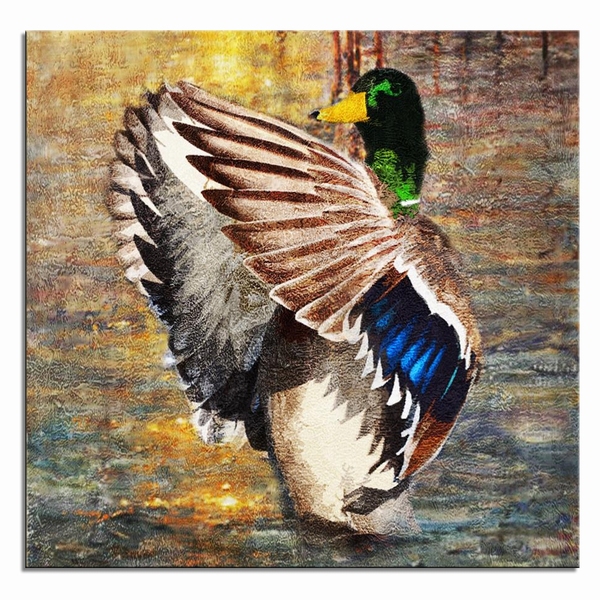 Duck Beauty 01