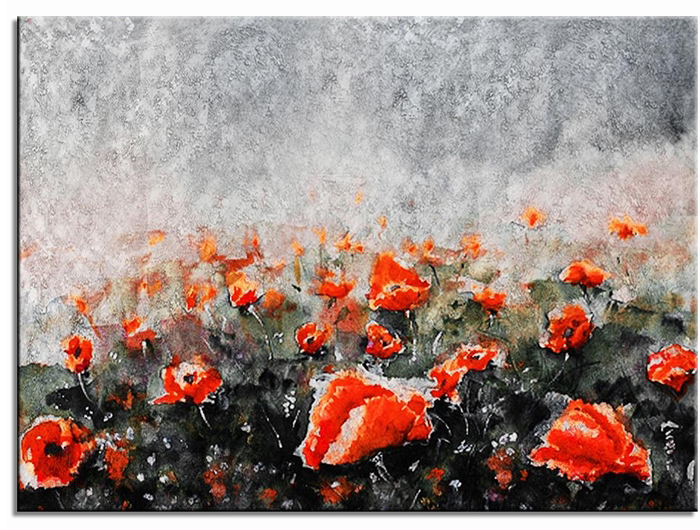 Red Poppies in the Wild
