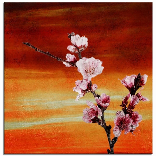Pink Flower Blossom