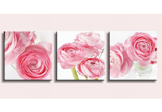 Pink Roses 03