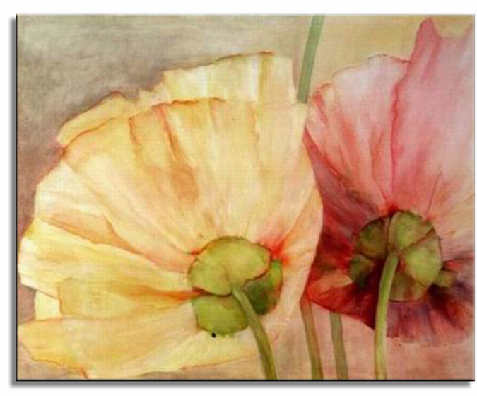 Pink and Yellow Flowers