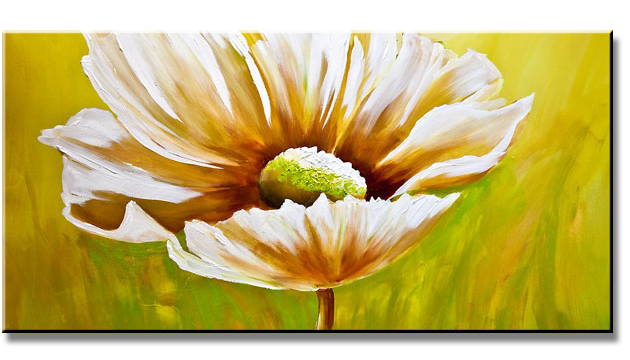 Daisy