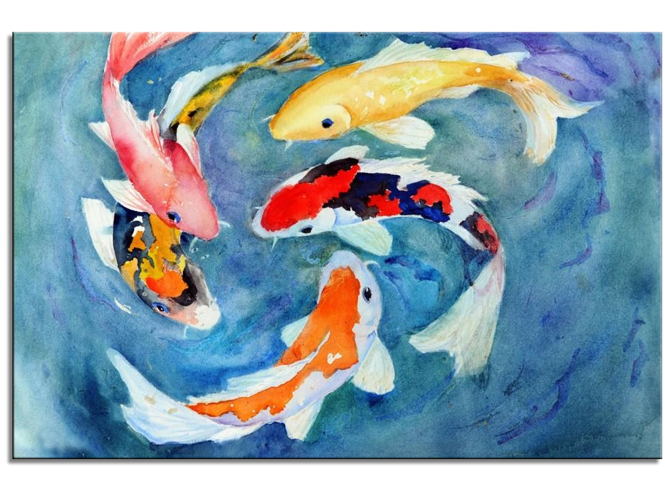 Koi Carp IV