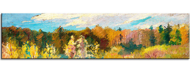 01 Forest in Fall