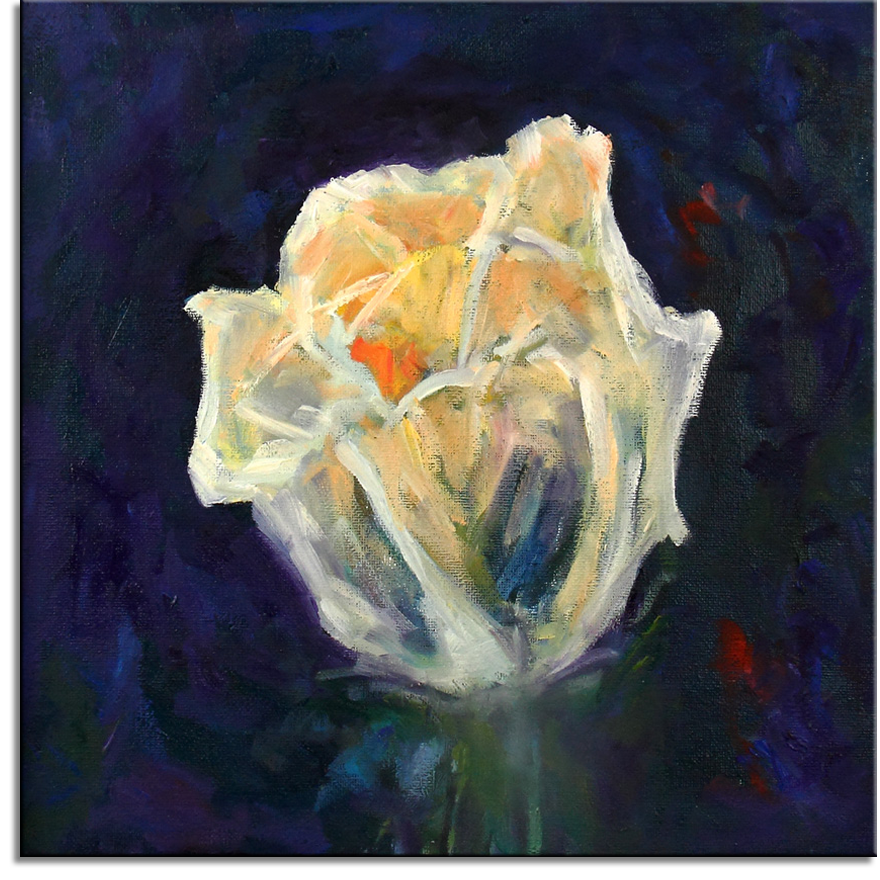 White Rose Shining in the Dark