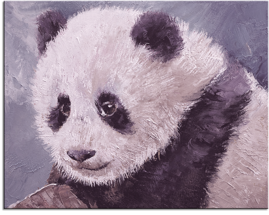 Baby Panda I