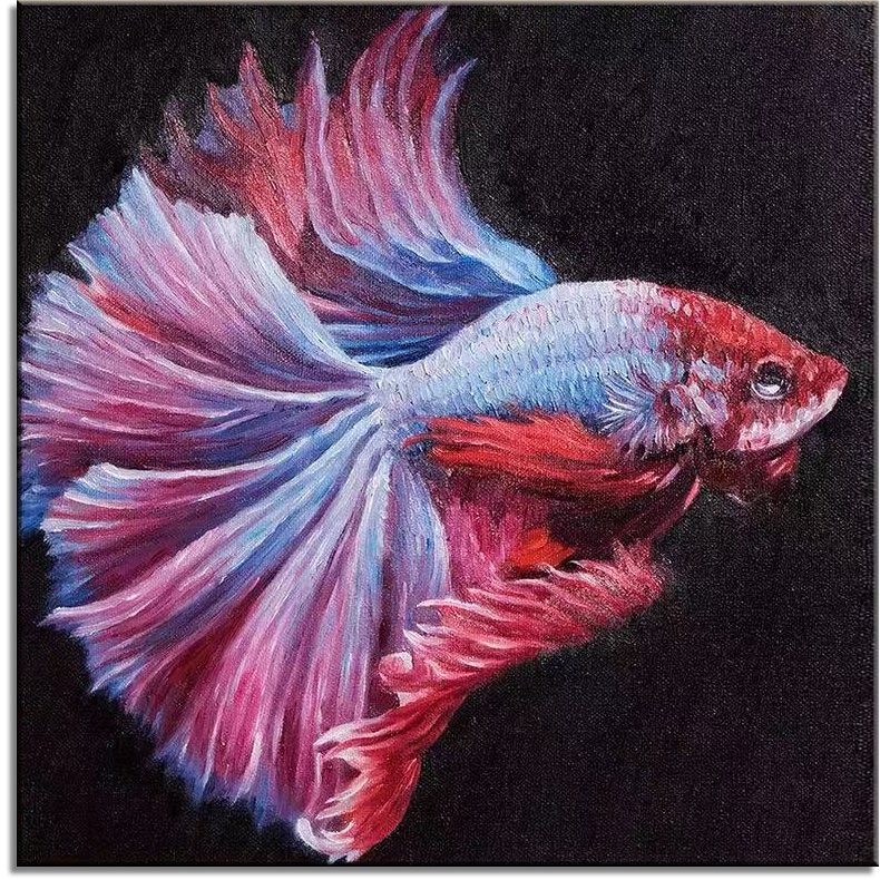 Halfmoon Betta Fish