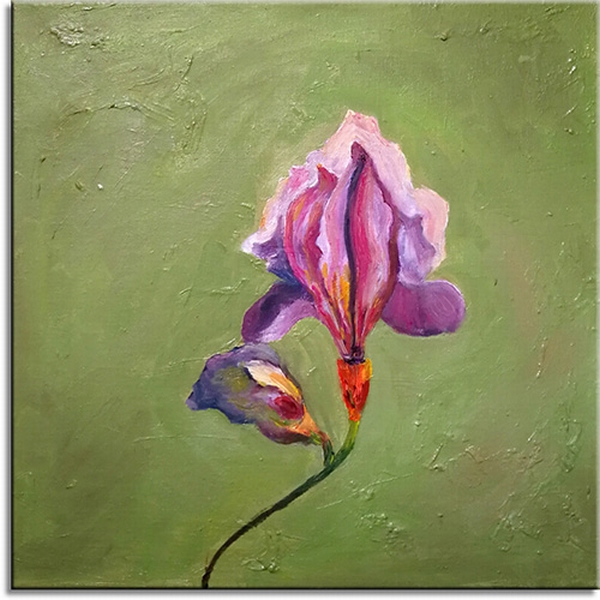 Iris Flower