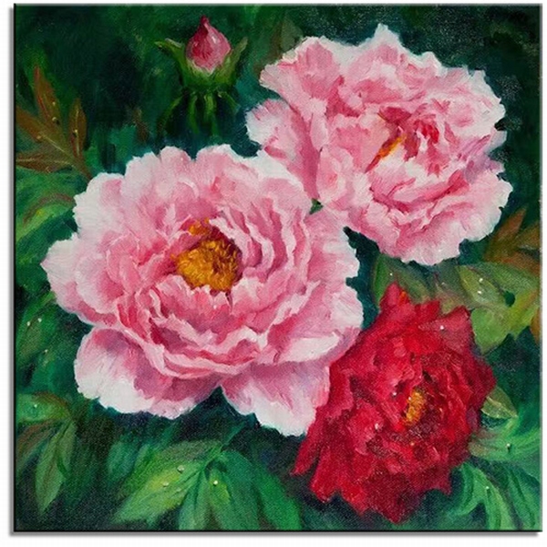 Pink Peony II