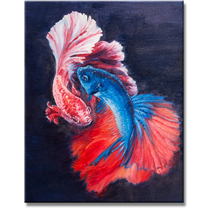 Red & Blue Betta Fishes