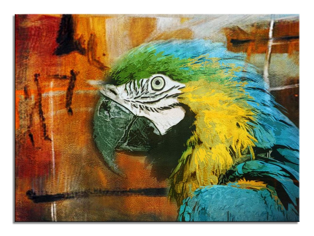 Blue Yellow Macaw