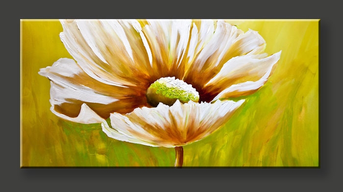Daisy