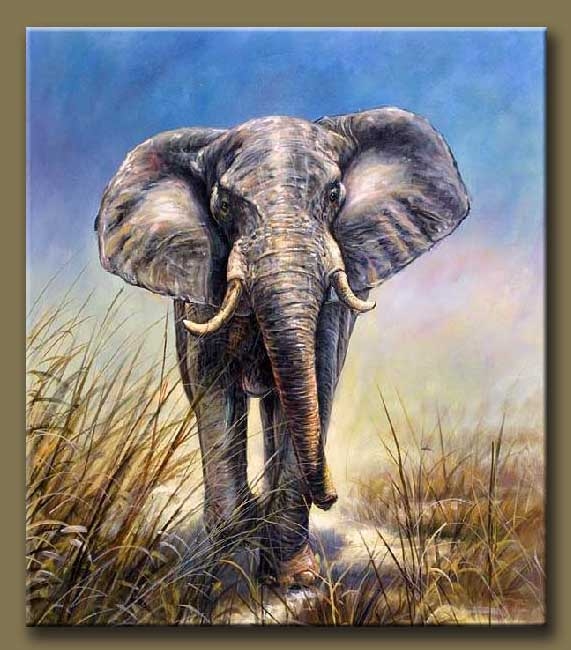 Elephant I