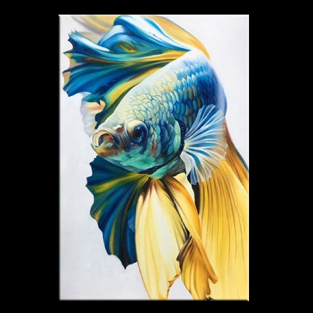 Fighting Fish III