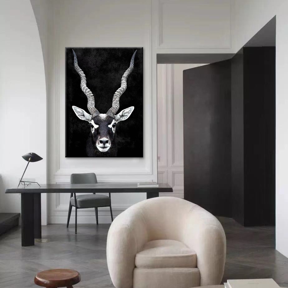 Gazelle