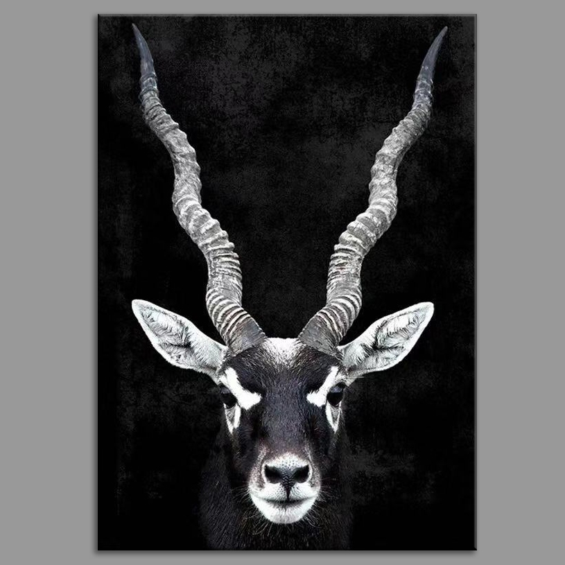 Gazelle