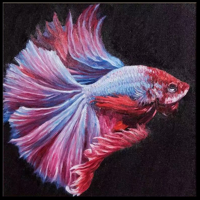 Halfmoon Betta Fish