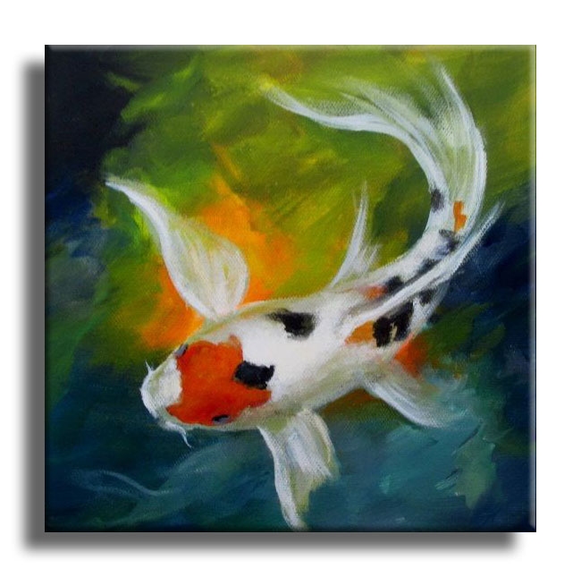 Koi Carp III
