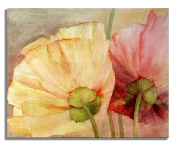 Pink and Yellow Flowers