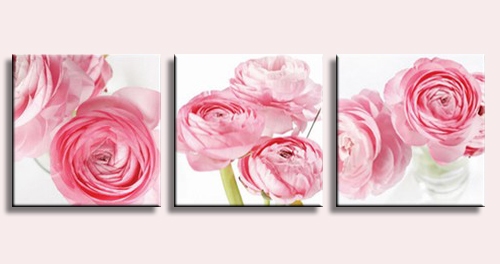 Pink Roses 03