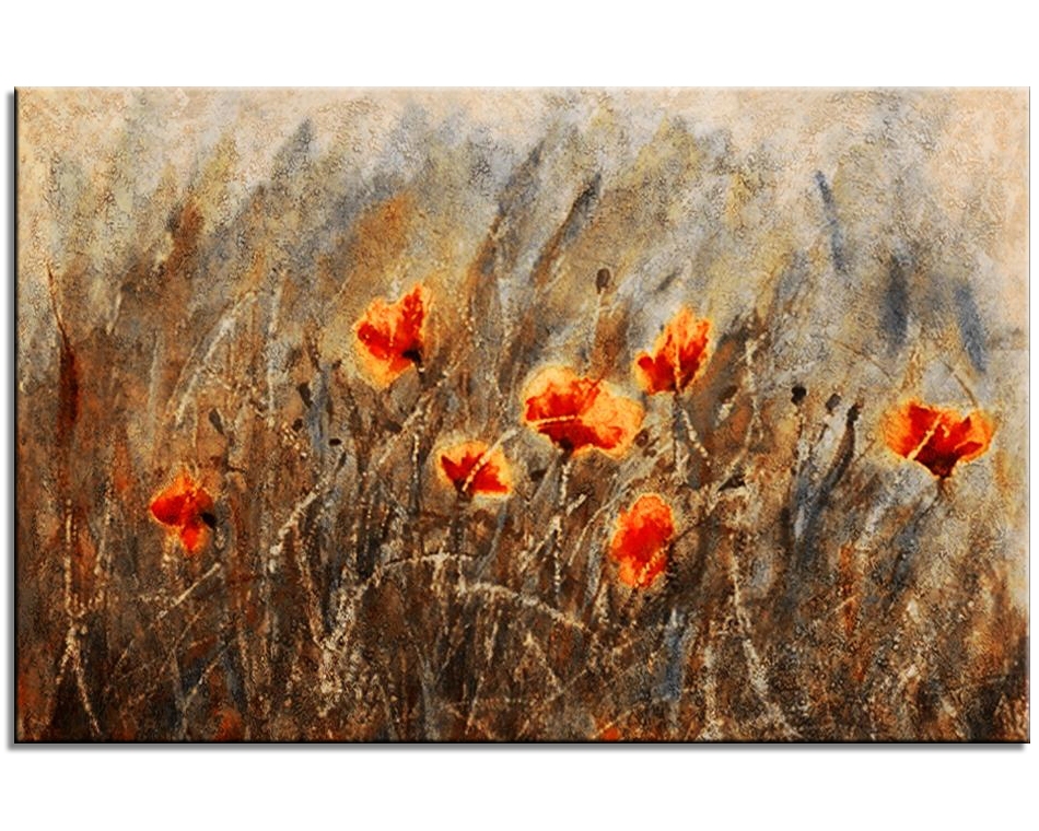 Poppies in the field