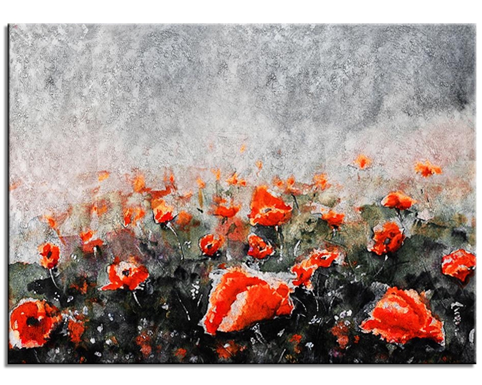 Red Poppies in the Wild