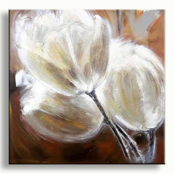 Tulip Splendor